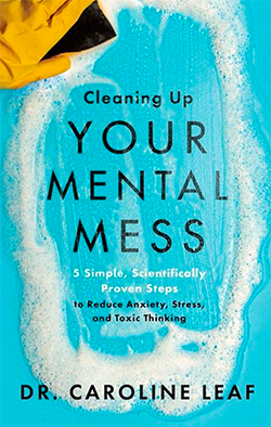 Reading Cleaning Up Your Mental Mess Book